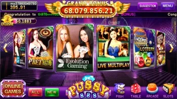 Unveiling the Top Slot Games on pussy888